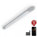Steinel 058739 - LED Heavy-duty light with sensor RS PRO 5150SC LED/42W/230V IP66 4000K