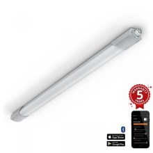 Steinel 079185 - LED Heavy-duty light with a sensor RS PRO 5100 SC LED/31W/230V IP66