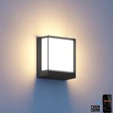 Steinel 085230 - LED Dimmable outdoor wall light L40C LED/12,9W/230V IP54 anthracite