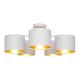Surface-mounted chandelier ALBA 5xE27/60W/230V white/gold