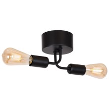Surface-mounted chandelier BRENDA 2xE27/60W/230V black