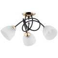 Surface-mounted chandelier MODENA 3xE27/60W/230V black/gold/white