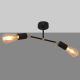 Surface-mounted chandelier ROSETTE 2xE27/60W/230V black/golden