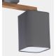 Surface-mounted chandelier TORA 2xE27/15W/230V grey