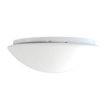 Top Light 5501/40/LED - LED ceiling light 1xLED/24W/230V