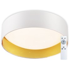 Top Light - LED Dimmable ceiling light LED/24W/230V + remote control white