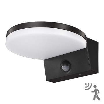 Top Light - LED Outdoor wall light with a sensor LED/15W/230V IP65 black