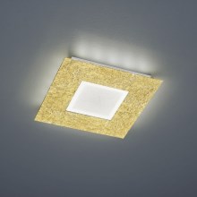 Trio - LED Ceiling light CHIROS LED/12W/230V + LED/3,5W