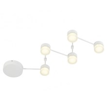 Trio - LED Dimmable ceiling light NASHVILLE 5xLED/3W/230V