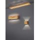 Trio - LED Dimmable wall light BRAD LED/4W/230V