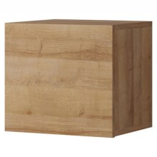 Wall cabinet PAVO 34x34 cm brown