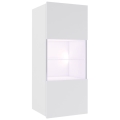 Wall cabinet with LED lighting PAVO 117x45 cm shiny white