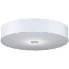 Wofi 9829.01.01.1600 - LED Dimmable ceiling light LED/35W/230V 3000K