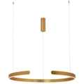 Zambelis 2012 - LED Dimmable chandelier on a string LED/40W/230V gold