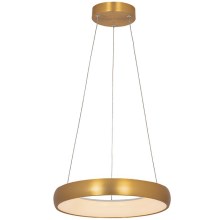 Zambelis 2046 - LED Dimmable chandelier on a string LED/30W/230V d. 40 cm gold
