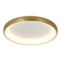 Zambelis 2050 - LED Dimmable ceiling light LED/50W/230V d. 60 cm gold