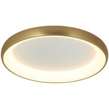 Zambelis 2058 - LED Dimmable ceiling light LED/60W/230V d. 80 cm gold