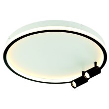 Zambelis 22014 - LED Dimmable ceiling light LED/71W/230V black