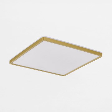 Zuma Line - LED Dimmable ceiling light LED/38W/230V + LED/12W 3000/4000/5500K 40x40 cm gold