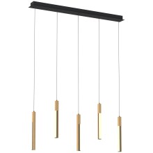 Zuma Line - LED Dimmable chandelier on a string LED/25W/230V