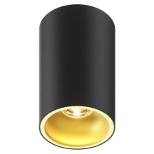 Zuma Line - Spotlight 1xGU10/50W/230V black/gold